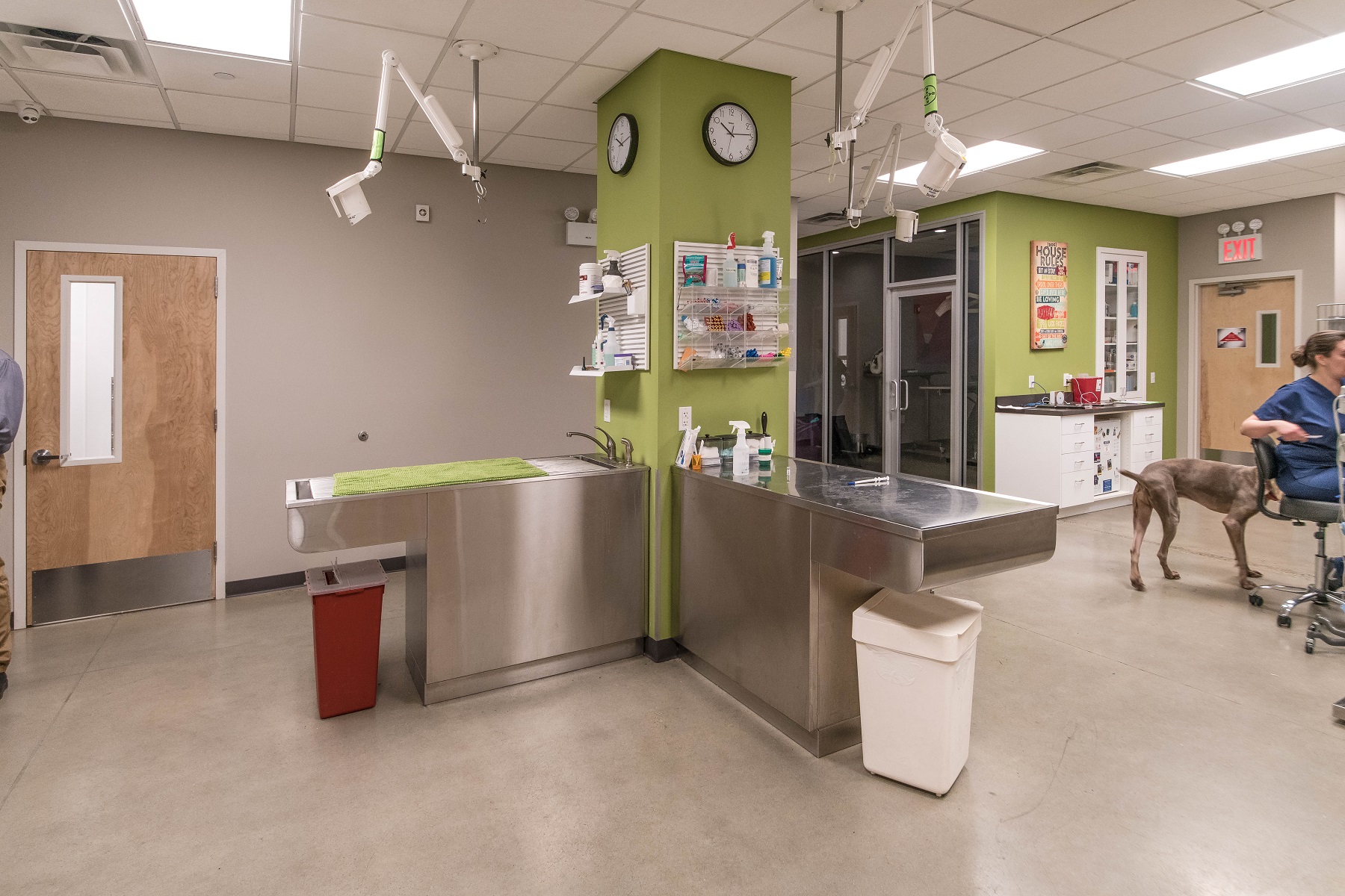 Juniper Valley Animal Hospital