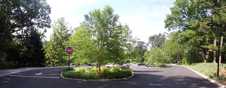 Planting Fields Arboretum