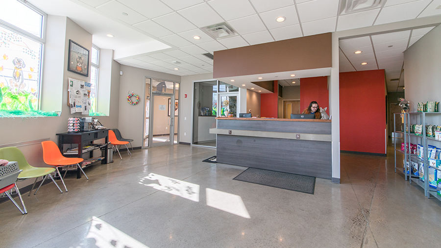 Juniper Valley Animal Hospital Adaptive Reuse