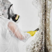 Mold Inspection Mold Inspection
