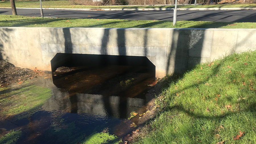 Northeast Branch of the Nissequogue River