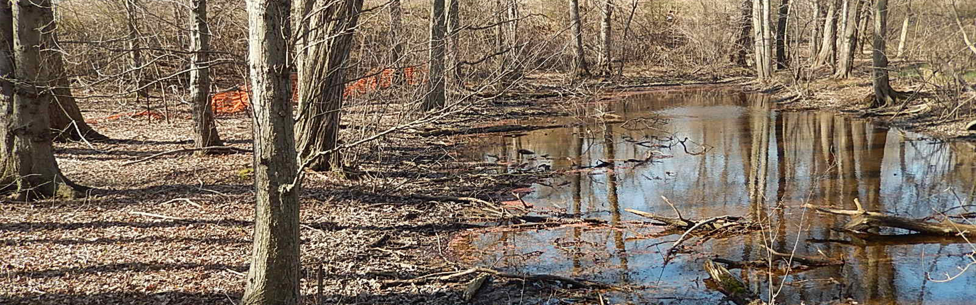 Parsippany – Troy Hills Wastewater Treatment Plant