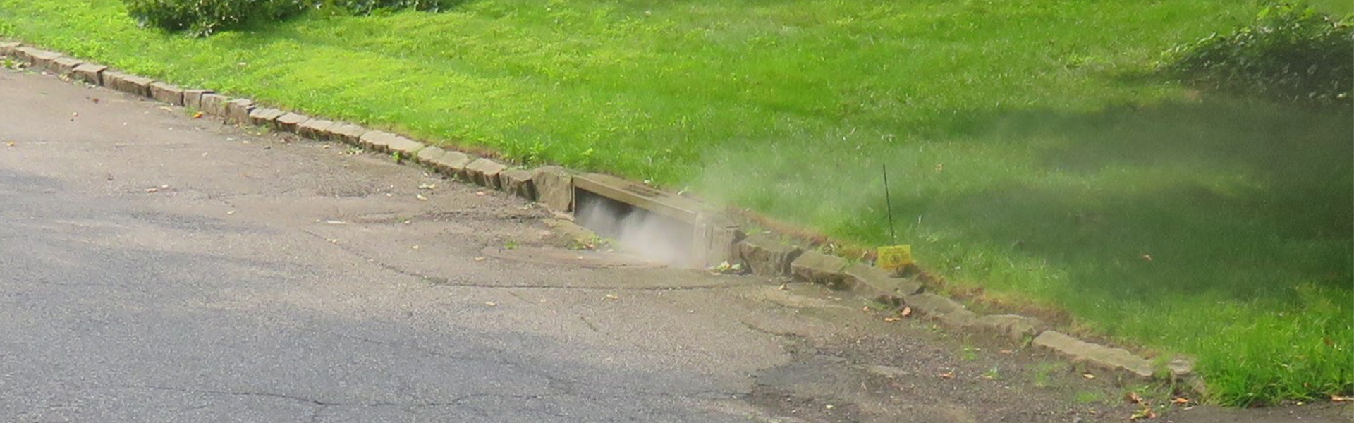 Sanitary Sewer Smoke Testing